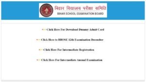 seniorsecondary biharboardonline com admit card link