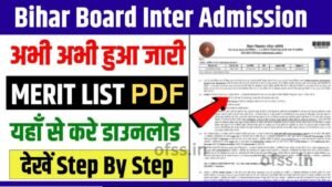 bseb 11th admission 2024 merit list